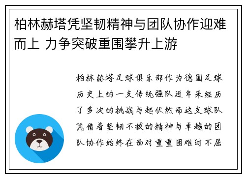 柏林赫塔凭坚韧精神与团队协作迎难而上 力争突破重围攀升上游