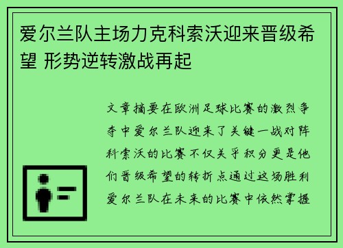 爱尔兰队主场力克科索沃迎来晋级希望 形势逆转激战再起