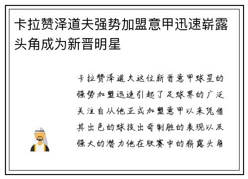 卡拉赞泽道夫强势加盟意甲迅速崭露头角成为新晋明星