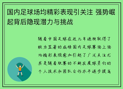 国内足球场均精彩表现引关注 强势崛起背后隐现潜力与挑战